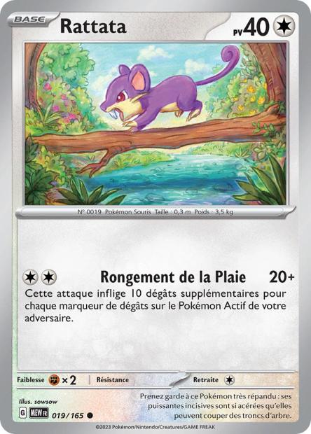 019/165 Rattata