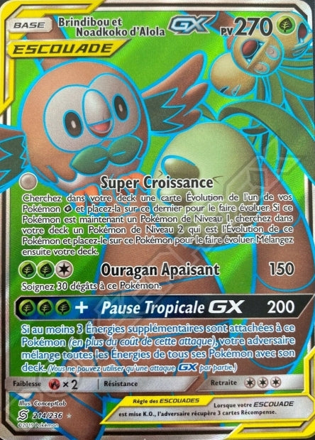 214/236 Brindibou et Noadkoko d’Alola-GX