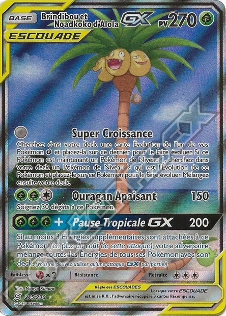 215/236 Brindibou et Noadkoko d’Alola-GX