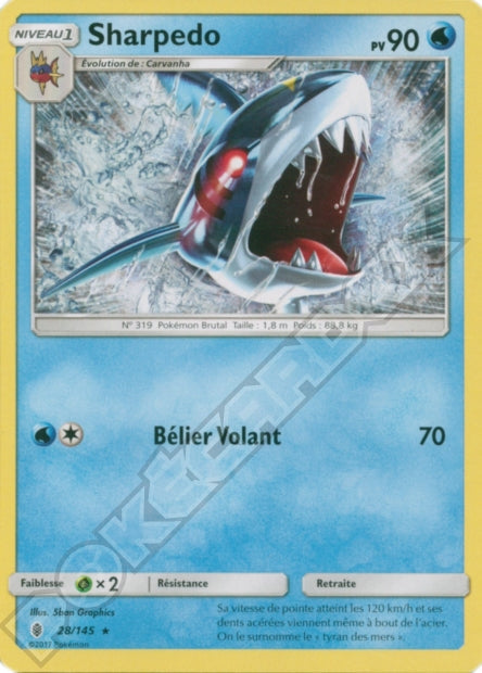 028/145 Sharpedo