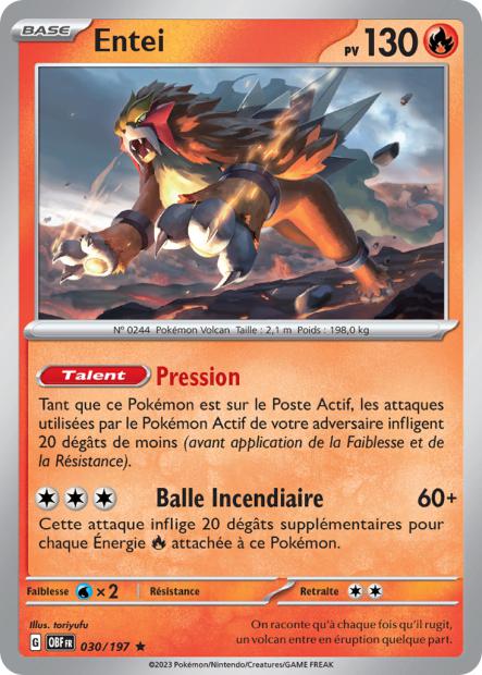 030/197 Entei