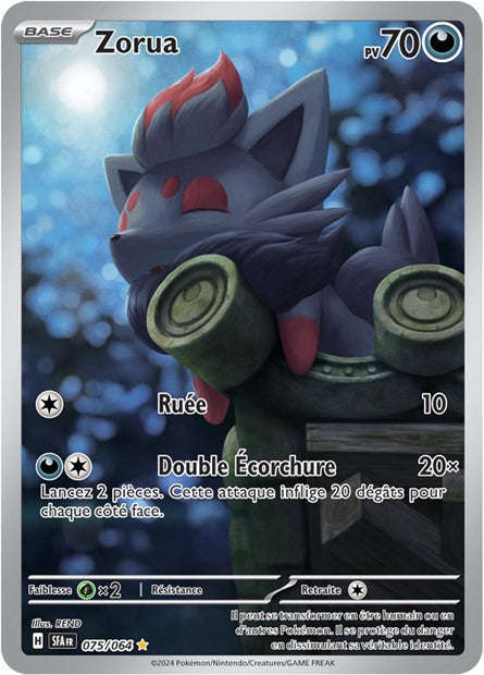 075/64 Zorua